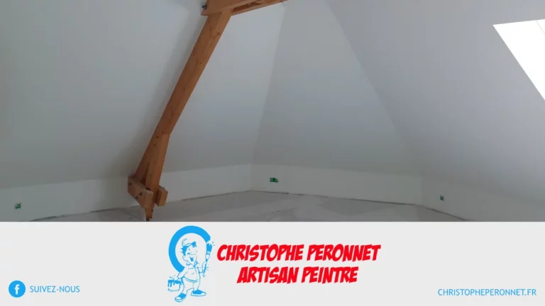 Artisan Peintre Christophe Peronnet